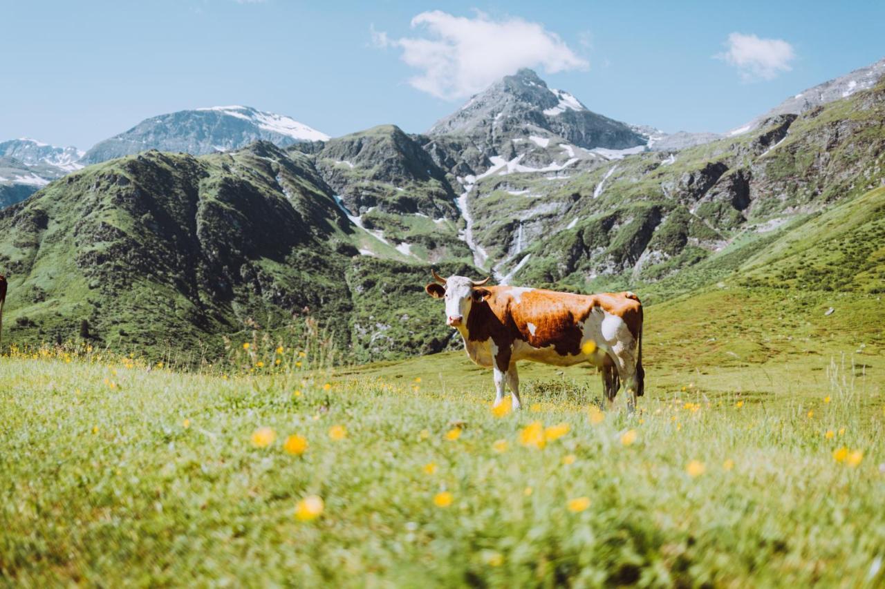 Appartement Tauernlife Schwarzach im Pongau Exteriér fotografie