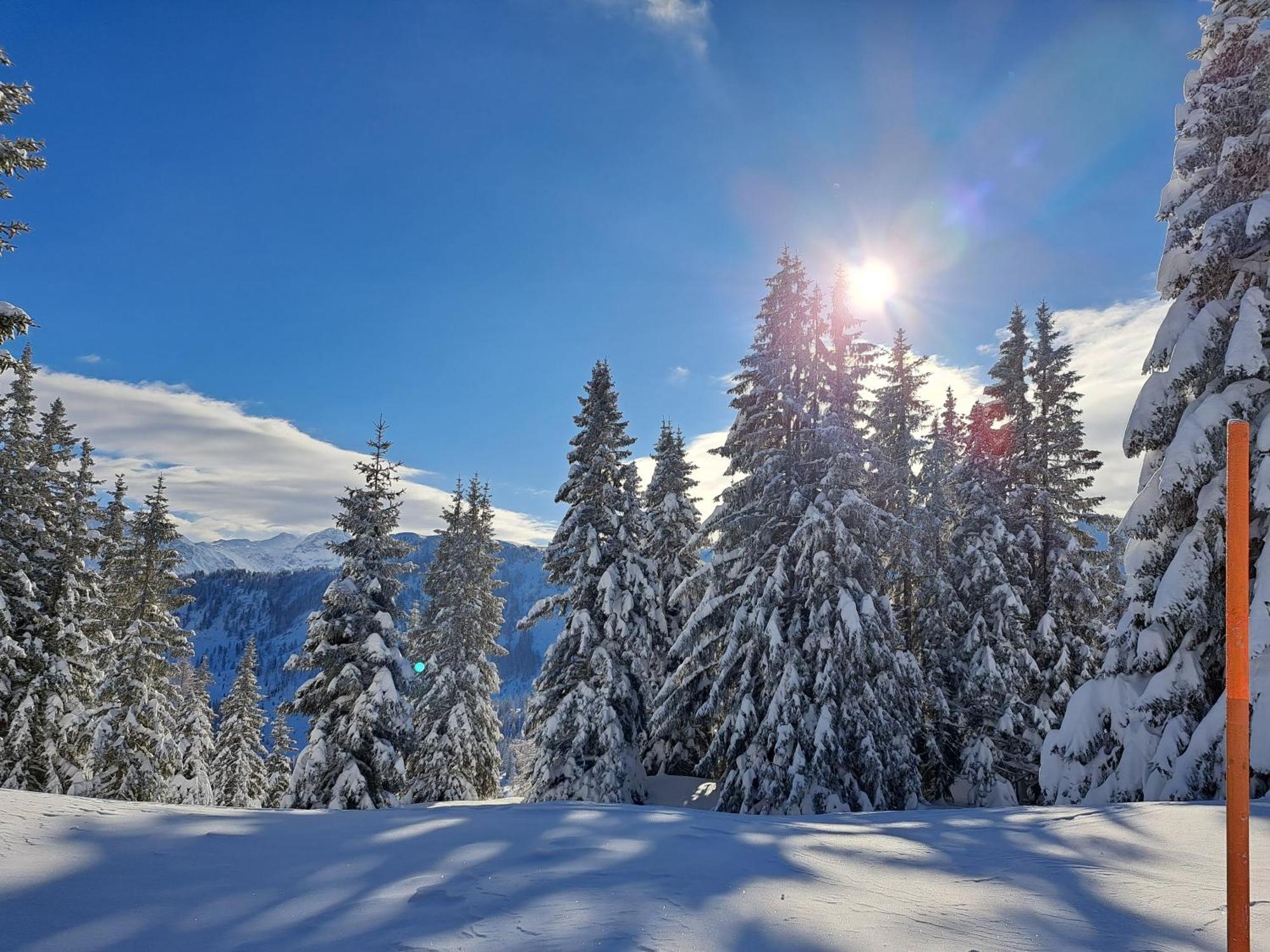 Appartement Tauernlife Schwarzach im Pongau Exteriér fotografie